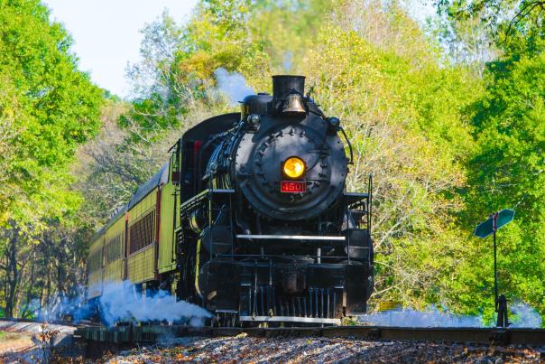 Tvrm Low Rail Shot
