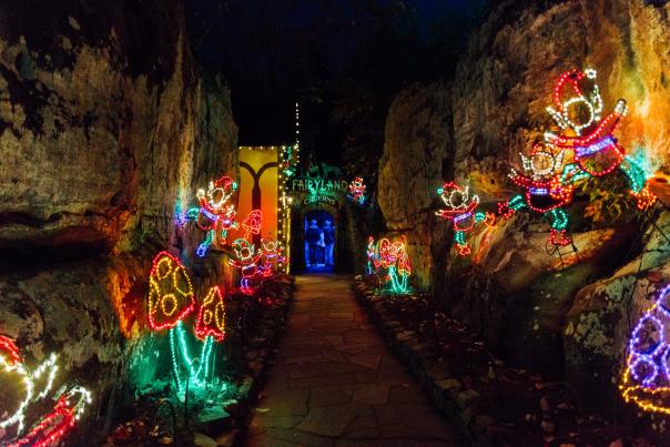Rock City Lights