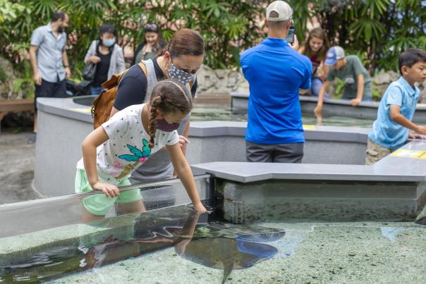 aquarium with masks