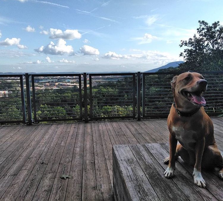 Stringer's Ridge_PC gingerdooz